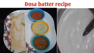 Dosa batter recipe in tamil/ தோசை மாவு அரைப்பது எப்படி?/ How to grind dosa batter/ dosa recipe