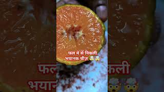 Fal mai se nikli bhayanak chiz 🤯🤯 Viral food challenge 😍 #fruit #fal #viralvideo #foodchallenge