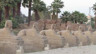 Avenue of the sphinx Luxor Temple, Egypt