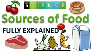 Sources of food | food sources | fully explained in hindi | animal plant food  sources | goalon