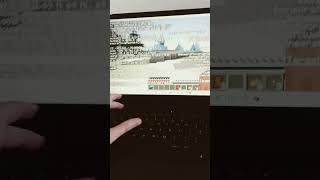 Minecraft on IdeaPad FPS #shorts