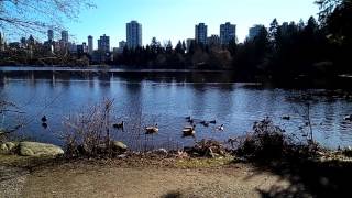 Vancouver Stanley Park 1