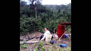 ladang padi kimonggis mangkadait