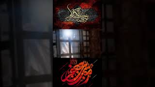 Haye Sadaat - Shahadat e Imam Musa Kazim 25 Rajab WhatsApp status - Noha Nadeem Sarwar Ali Shanawar