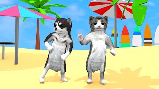 Dancing cat and dog at sea