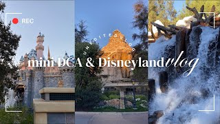 UNEDITED MINI DCA & DISNEYLAND VLOG | golden hour, little mermaid, castle snow, alpine glow, ASMR🌅🏰🎡