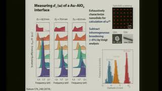 Yi Yang: Photonics and Plasmonics