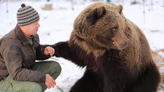 Um Piloto Criou Um Filhote De Urso - Uma História Incrível De Uma Amizade Entre Um Urso E Um Homem