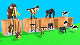 Choose The Right Mystery Cage With Cow Mammoth Elephant Gorilla Dinosaur With Wild Animal Games