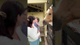 🐴 My Horse Duke & baby cowboy Luca getting to know each other #Horse #shorts