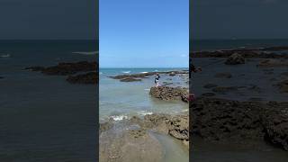 釣黑鯛 淡水密秘釣點  海尾子 fishing