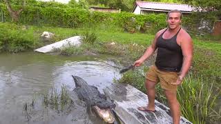 Louisiana Alligator Tour