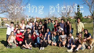 SPRING PICNIC