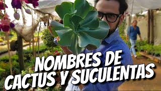 NOMBRES DE CACTUS Y SUCULENTAS