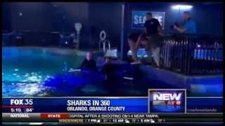 Sharks Arrive at Sea Life Aquarium Orlando