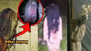 TANGK4P KUYANG DAN KUNTILANAK KORB4N BUNDIR | 5 PENAMPAKAN HANTU TERSERAM DAN TERJELAS