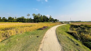 সবুজের টানে | ময়মনসিংহ  | মুক্তাগাছা  |  গ্রাম্য জীবন