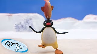 Pingu's Favorite Sports 🐧 | Pingu - Official Channel | Cartoons For Kids