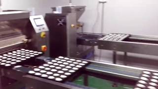 蛋糕注浆输送进蒸气炉Small cake grouting transported into the cake steamer-Food Machinery for Bakery