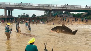 Fisherman Cast Net Fishing Real Life Amazing Fishing At Countryside.(Episode 139)