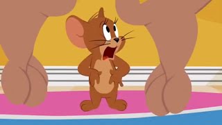 Best Animated Movie Scenes   The Tom and Jerry Show Episode 125