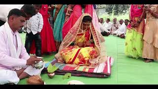 #wedding #video #song #love # विवाहसोहळा // Amol + Rani // Wedding Highlight Song