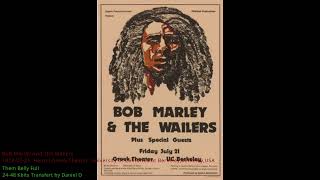 1978-07-21 Bob Marley And The Wailers : Them Belly Full  - Audience - 24-48 - DD Transfert