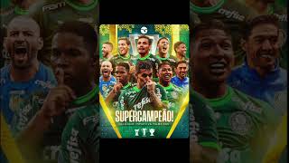 Palmeiras campeão da supercopa do Brasil!