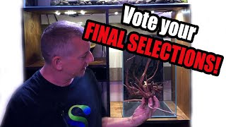 Subscriber Built Aquarium Part 2 (Voting Ended)