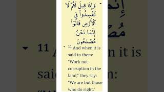 Quran Verse 2:11| When They Are Told to Not Cause Corruption | #short #quran #respect  #corruption