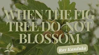 When Figs Do Not Blossom - R Kanduka