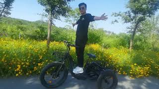 The stablest E-Trike is Much Better Than Expected  - 3 wheels electric bike 48V1000W24AH(Samsung）