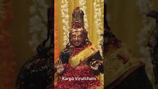 Vlog 127 Pradhosam To Increase Wealth Mylapore Kapleeswarar Siva Abhishegam