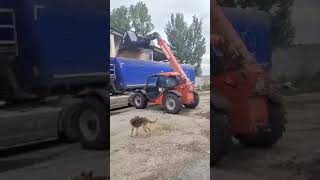 Grain bucket for Manitou