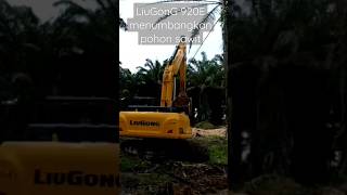 LiuGonG 920E menumbangkan pohon sawit untuk di tanam ulang (Replanting) #excavator #liugong #sawit