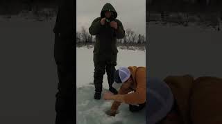 Hard water RAINBOW Trout 🌈 #algomacountry #icefishing #trout #getoutdoors