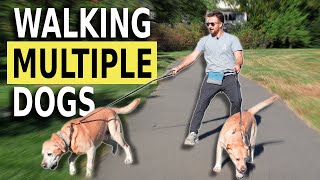 The SECRET to Walking Multiple Dogs AT THE SAME TIME