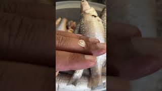 kolkata fish #shorts #shortsvideo #fish #viralshorts #fishfry #trending #foodshorts