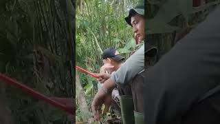 mancing lagi di air banjir #2024shorts #videoshort #shortvideo #strike #shorts