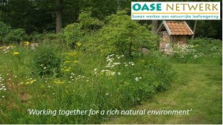 Creating oases for nature in Dutch gardens and parks