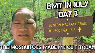 Benton MacKaye Trail Day 3: Getting Swarmed by Mosquitoes and Bailing at Wilscot Gap