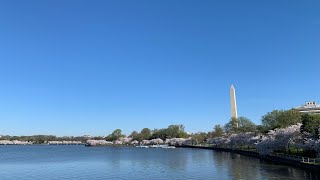 Fourth of July Celebration 2022 | Washington, District of Columbia