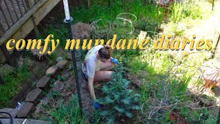 COMFY MUNDANE DIARIES 6 | picnic, art school, gardening, baking cheesecake, homebody diaries