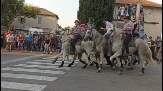 Bandido à Eyragues par la manade des Alpilles - 24/08/2021