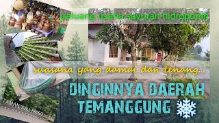 Temanggung Yang Sejuk dan Damai | Rumah Masa Kecil Mas Arif