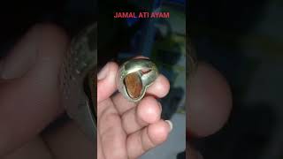 Batu akik Jamal ati ayam