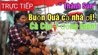 TRỰC TIẾP THÔN NỮ BÁN CÀ TÍM