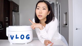 having a hard time socializing, doongi got neutered / couple vlog