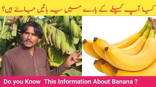 Banana || Do You Know This Information About Banana? || کیلے کے بارے میں معلومات || Let Me Discover