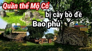 Hơn 17 Ngôi Mộ Cổ tại Sài Gòn ít ai biết